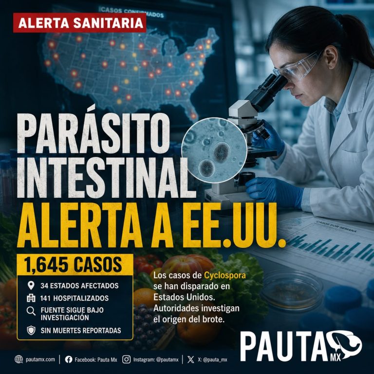 Alerta sanitaria en EE.UU.: investigan aumento de infecciones por Cyclospora