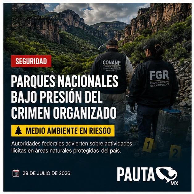 Parques nacionales bajo presión: alertan por actividades del crimen organizado en áreas naturales protegidas