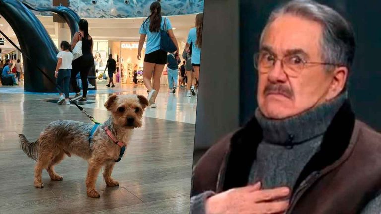 Pedro Sola desata indignación por comentarios sobre perros; famosos y animalistas condenan sus declaraciones