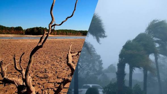 Alertan que El Niño se intensificará hasta ser “muy fuerte”; piden prevención